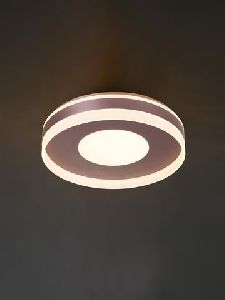 led ceiling mount light