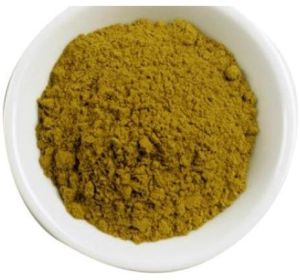 Andrographis Extract