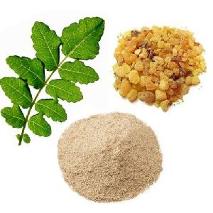 Boswellia Serrata Extract