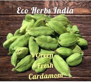 Green Cardamom 5 mm to 8.5 mm