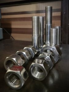 Stainless Steel Bolt