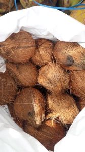 De Husked Coconuts