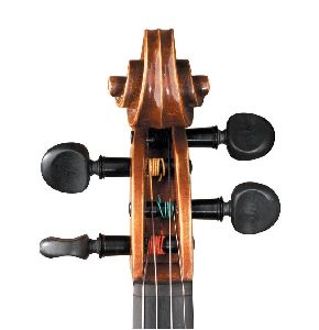 Violin Pegs