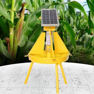 Solar light traps - Medium