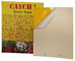 yellow sticky traps