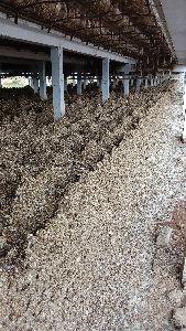 Dry Poultry Manure