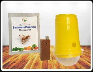 Bactrocera Cucurbaite Melon fly pheromone Lure & glass trap