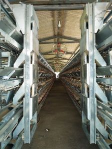 Layer Battery Cages