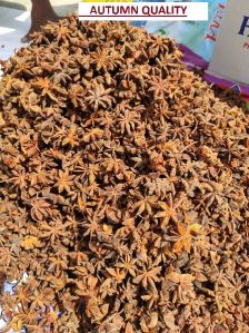 star anise spring