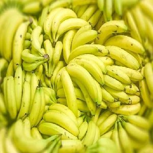 Fresh Cavendish Banana