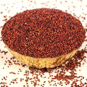 Ragi Seeds