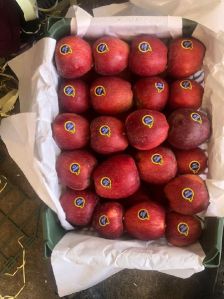 imported apple from iran