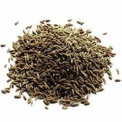 Fennel Powder