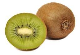 hayward kiwi