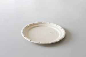 12 Inch Plain Sugarcane Bagasse Plate