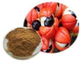 Guarana Seed Extract