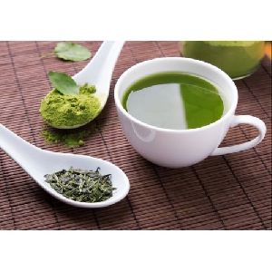 Green Tea Extract