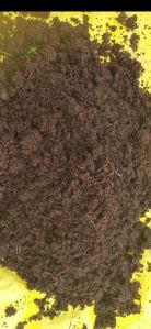 Vermicompost Powder