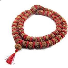 Rudraksha & Valvet Kanth Mala