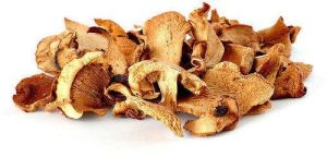 dried button mushroom