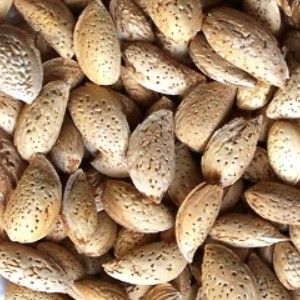 Kashmir Kagzi Almond