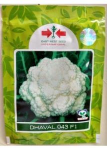 DHAVAL CAULIFLOWER