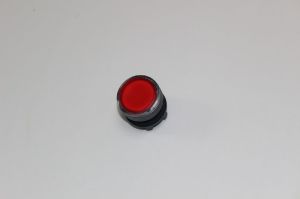 Red Illuminated Push Button