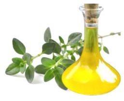 Thyme Oil