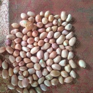 Groundnut 50 60