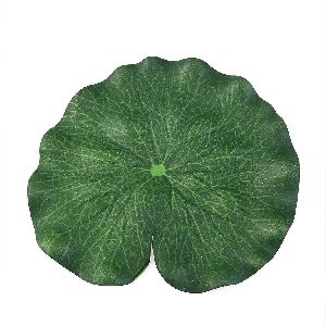 lotus leaf