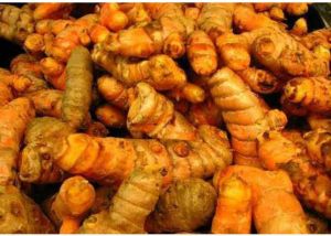 Fresh Turmeric