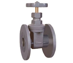 Gate Valve Flange