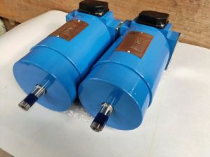 Pmdc Motor