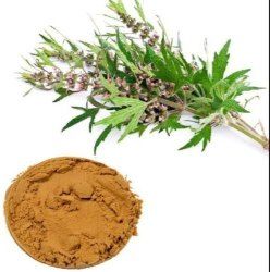 Motherwort Extract