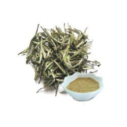 White Tea Extract