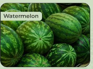 Fresh Watermelon