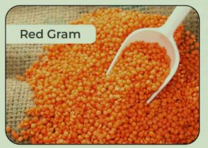 red gram