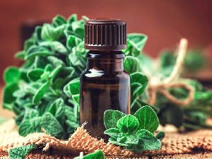 Oregano Oil