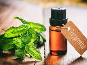 Peppermint Oil