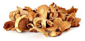 Dried Mushroom