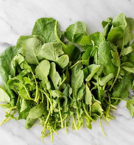 Fresh Radish Leaves