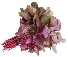 Fresh Red Spinach Leaves