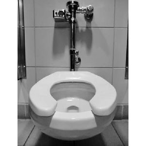 Automatic Flush Toilet