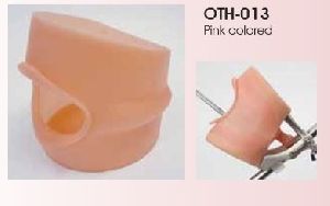 Oral Cavity cover