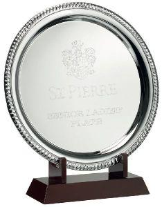 Silver Plate Award