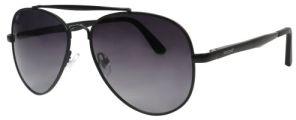 Aviator Polarized Sunglass