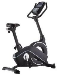 Gamma Upright Bike