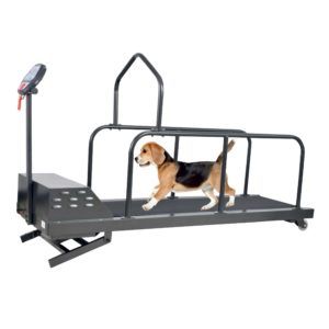 Kennel Treadmill