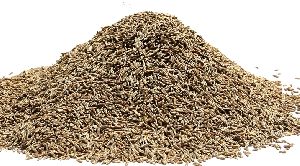 Cumin Seeds