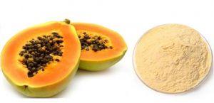 Papaya Powder